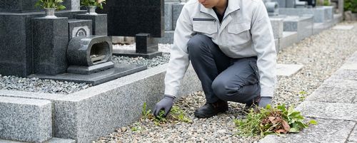 標準クリーニング